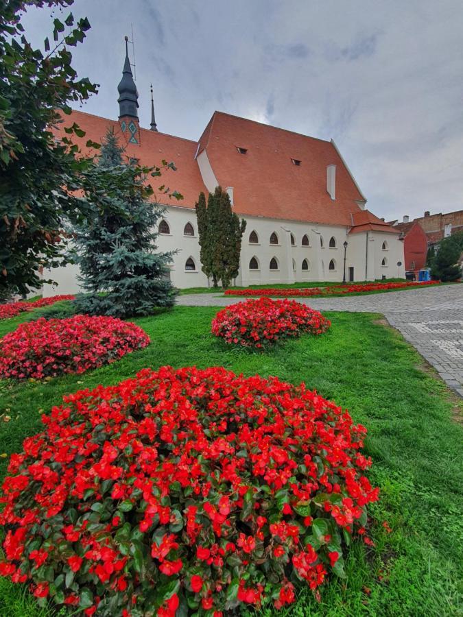 Via Transilvanica Sighisoara Hotel Kültér fotó